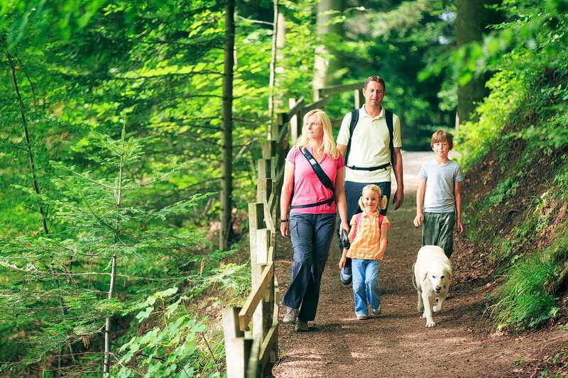 Geführte Gruppenreisen in der Region